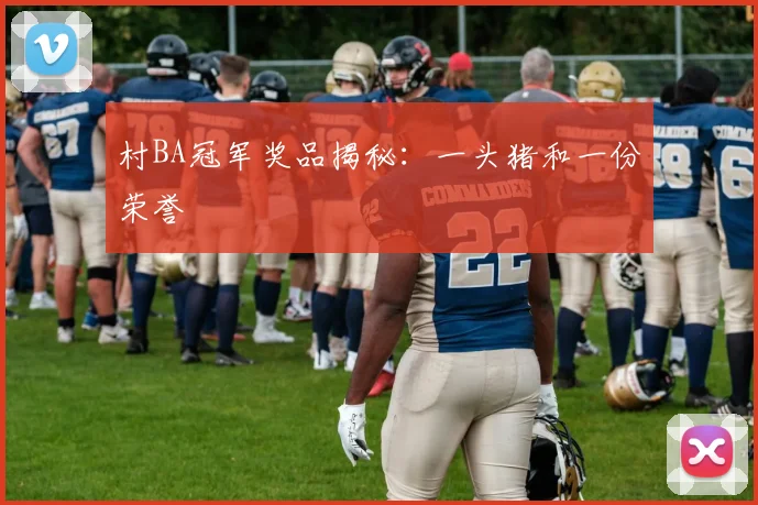 村BA冠军奖品揭秘:一头猪和一份荣誉