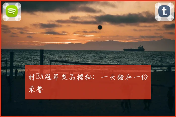 村BA冠军奖品揭秘:一头猪和一份荣誉